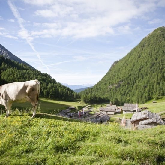 Impressions of Hotel Kristall in Maranza South Tyrol during summer