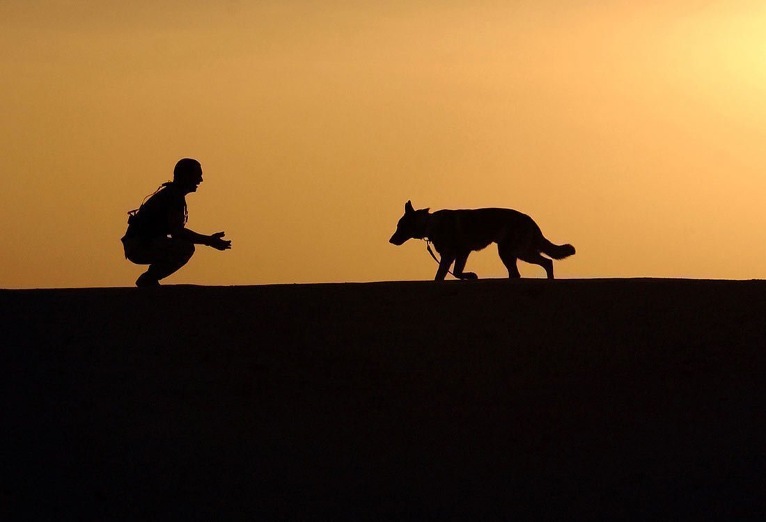 Holiday with dog in South Tyrol - Holiday with the four-legged friend